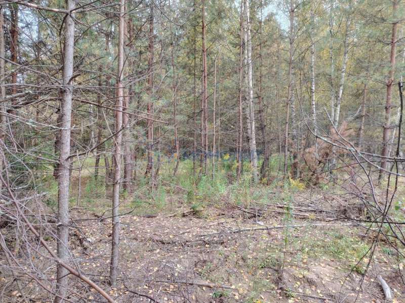 земельный участок 2 107 соток - деревня Бушнёво